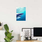 Poster Grand requin blanc | Afrique du Sud (Bureau à domicile)
