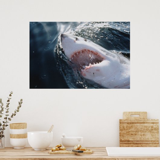 Poster Grand requin blanc en mer (Cuisine)