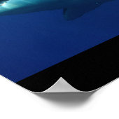 Poster Grand requin blanc Poisson Eau Surfer nage gris fi (Coin)