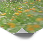 Poster Grand Roadrunner, Geococcyx (Coin)