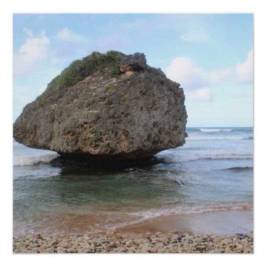 Poster Grand rocher de la Barbade à Bathsheba (Devant)