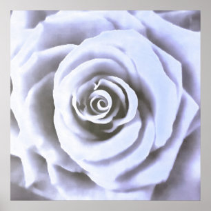 Poster Grand Rose artistique bleu pâle