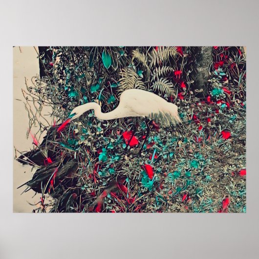 Poster Grand rouge d'aigrettes (Devant)