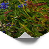 POSTER GRAND SALTEE, ÎLES SALTEE, IRLANDE (Coin)