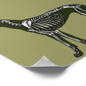 Poster Grand squelette Dane (Coin)