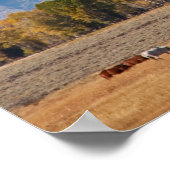 Poster Grand Teton (Coin)