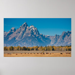 Poster Grand Teton
