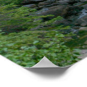 Poster Grand Teton (Coin)