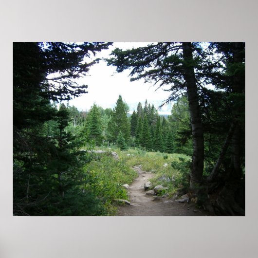 Poster Grand Teton Trail (Devant)