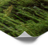 Poster Grand Tétons (Coin)