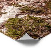 Poster Grand View de Canard (Coin)