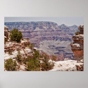 Poster Grand View de Canard