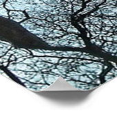 Poster Grande aigrette dans un arbre (Coin)
