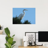 Poster Grande Aigrette en Floride ensoleillée (Bureau à domicile)