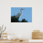 Poster Grande Aigrette en Floride ensoleillée (Cuisine)