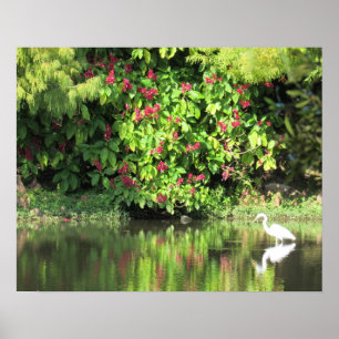 Poster Grande Aigrette Pêche - Beau Paysage