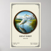 Poster Grande Aigrette Série de Zoologie (Devant)