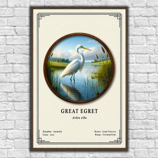 Poster Grande Aigrette Série de Zoologie
