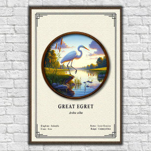 Poster Grande Aigrette Série de zoologie