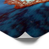 Poster Grande barrière (Coin)