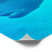 Poster Grande barrière de corail Napoleon Wrasse Fish (Coin)