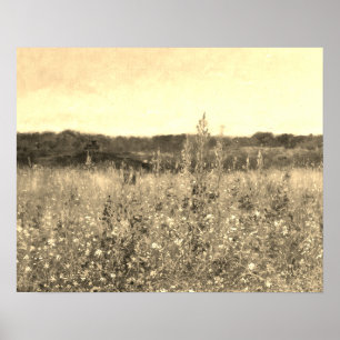 Poster Grande botanique vintage or champêtre floral verdu