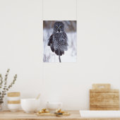 Poster Grande Chouette gris près de Pine City MN, (Cuisine)