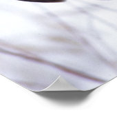 Poster Grande Chouette gris près de Pine City MN, (Coin)