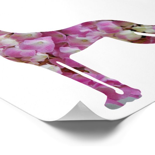 Poster Grande Dane (Coin)