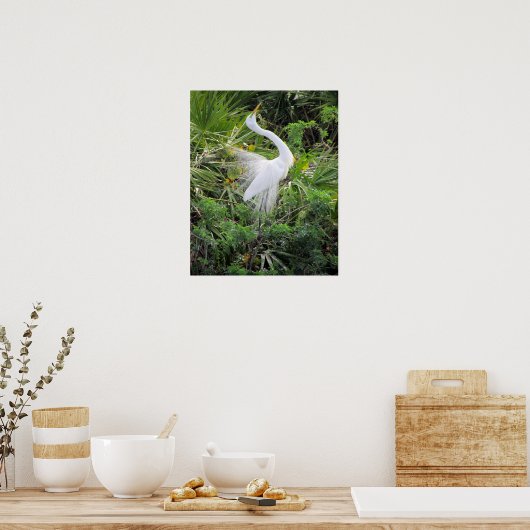 Poster Grande Danse d'accouplement d'aigrette blanche (Cuisine)
