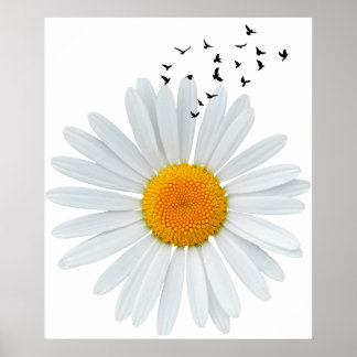 Poster Grande Fleur marguerrière avec des oiseaux volants