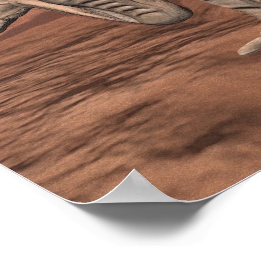 Poster "Grande fourmi Mars" (Coin)