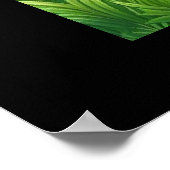 Poster grande girafe debout (Coin)