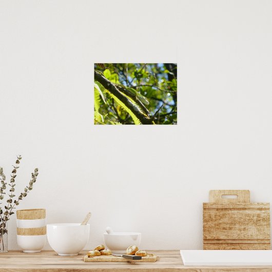 POSTER GRANDE ÎLE GECKO (Cuisine)