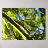 POSTER GRANDE ÎLE GECKO (Devant)