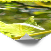 POSTER GRANDE ÎLE GECKO (Coin)