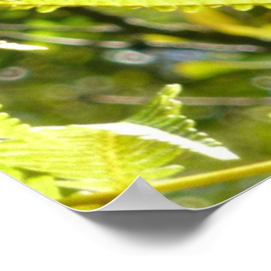 POSTER GRANDE ÎLE GECKO (Coin)