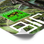 POSTER GRANDE ÎLE HAWAII (Coin)