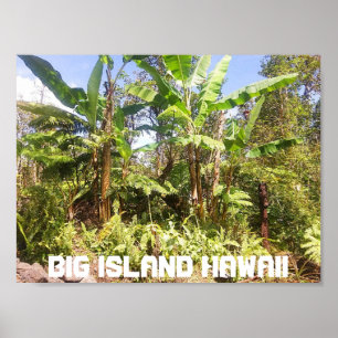 POSTER GRANDE ÎLE HAWAII BANANES ARBRES