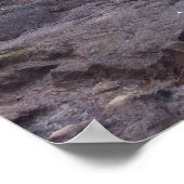POSTER GRANDE ÎLE HAWAII LAVA FLUX (Coin)