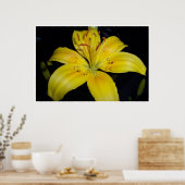 Poster Grande Lilie Jaune (Cuisine)