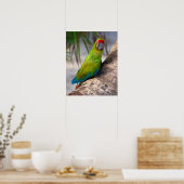 Poster Grande macaw verte sur un arbre (Cuisine)