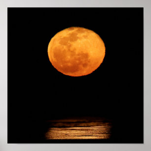 Poster Grande Pleine lune   South Padre Island, Texas