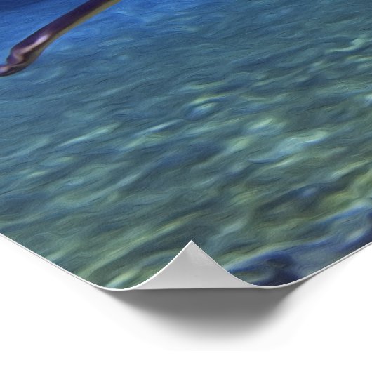 Poster Grande Rencontre de requin blanc (Coin)