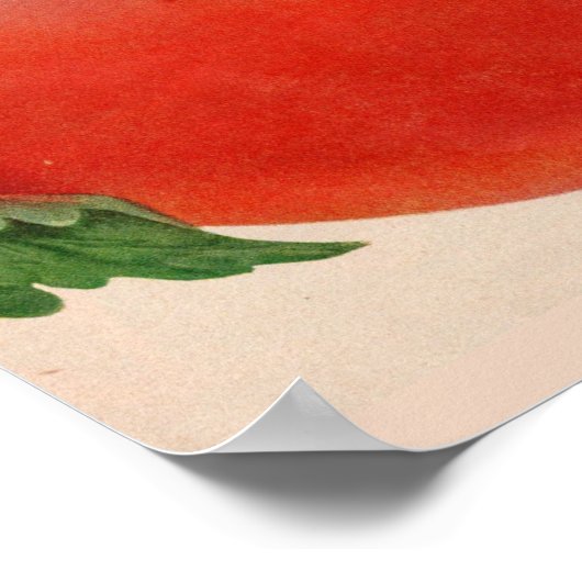 Poster grande tomate juteuse BIG (Coin)