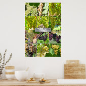 Poster Grande Variétés De Vins Blancs Du Monde (Cuisine)