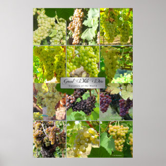 Poster Grande Variétés De Vins Blancs Du Monde