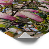 Poster Grandes fleurs de magnolia roses. Fleur de printem (Coin)