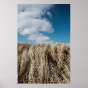 Poster Grandes herbes sous les nuages cumulus