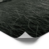 Poster Grandes marécages (Coin)